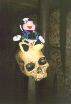 Mickey and skull