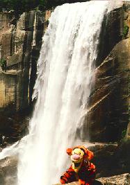 Tigger and Vernal Fall
