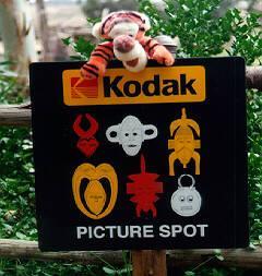 Tigger Kodak Moment